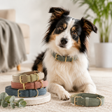 Collars