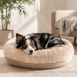 Cozy Bed