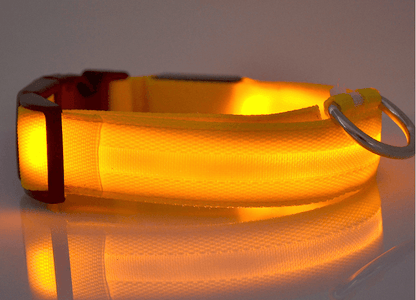 Luminous Glow-In-The-Dark Led Pet Collar: The Ultimate Night Safety Accessory For Dogs And Cats
