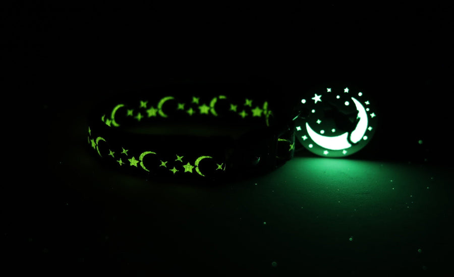 Gold Moons and Stars on Bright Pink Cat Collar